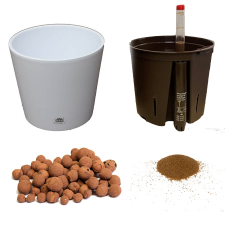 rasensamen direkt düngen Ammonsulfatsalpeter N26 Stickstoff-Dünger – TerraDomi Onlineshop main image 0